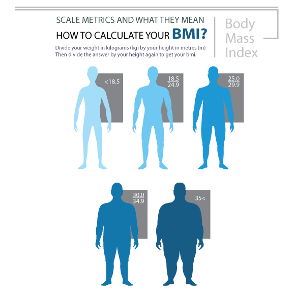 Glass Lithium Body Fat Scale