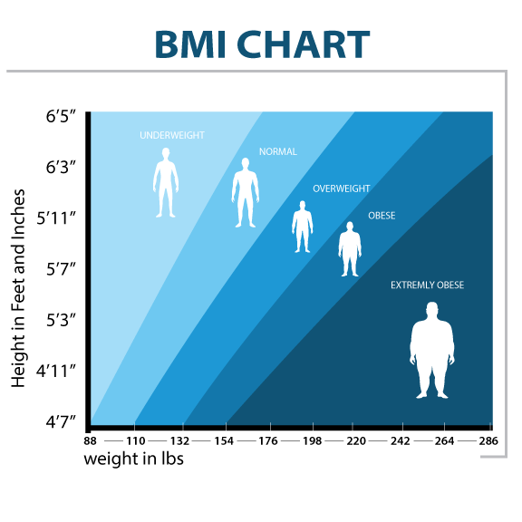 Glass Lithium Body Fat Scale