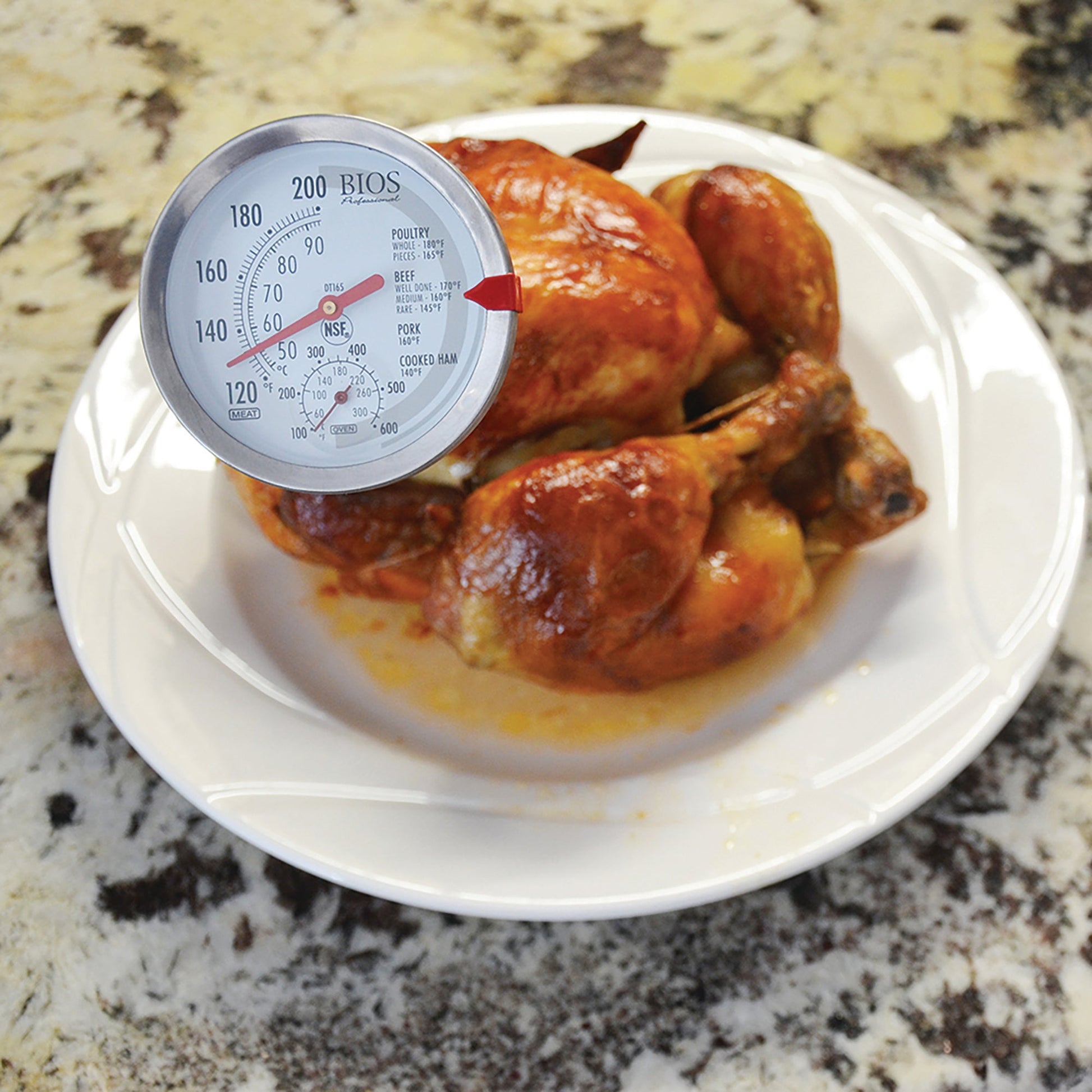 DT165 Dial Meat & Oven Thermometer take a temperature in a cooked chicken