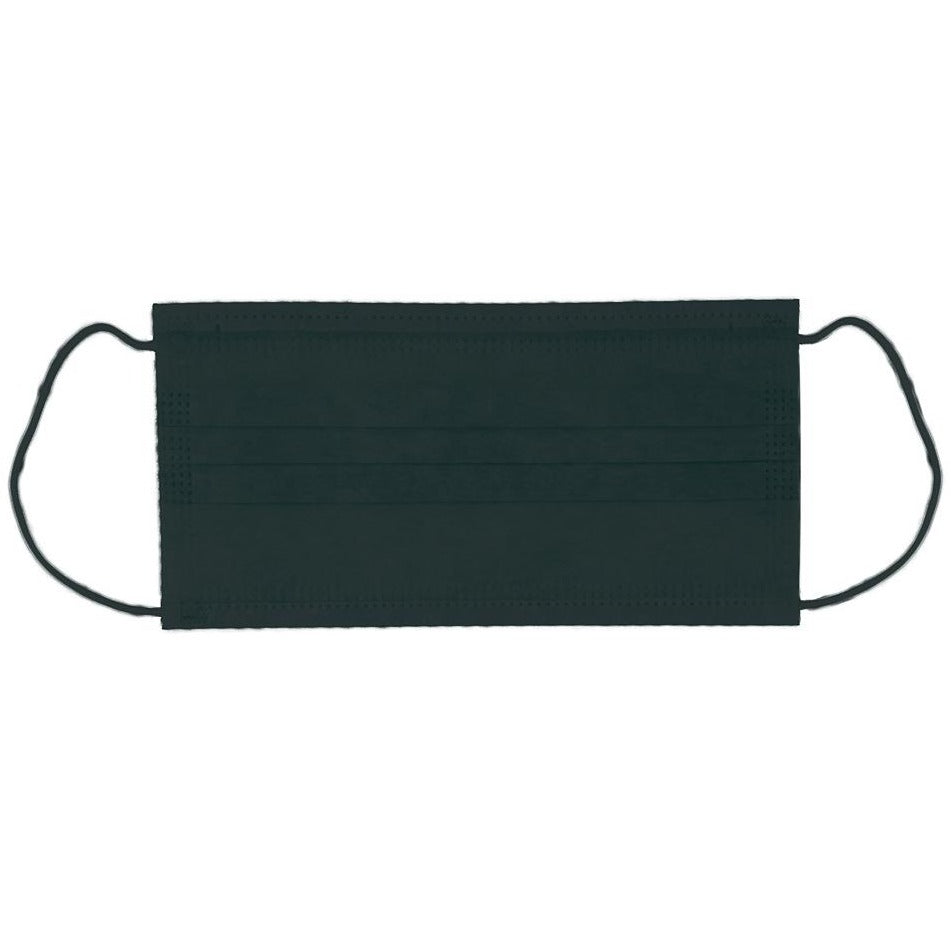 FS600 Disposable Face Mask in Black