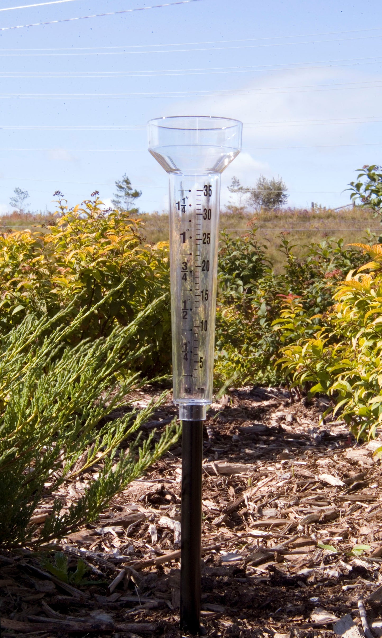 Rain Gauge