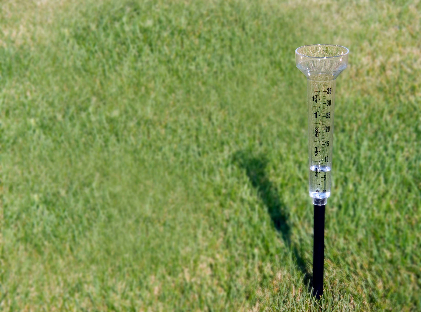 Rain Gauge