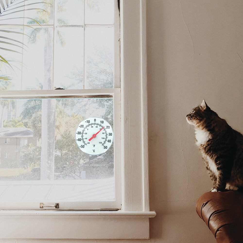 Window thermometer mounted on window