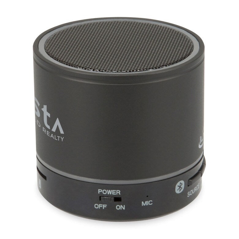 iLive Portable Wireless Speaker